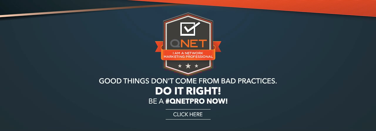 Image result for qnet logo