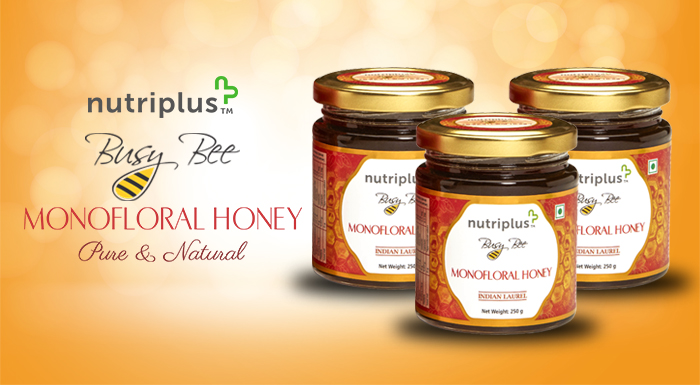 Nutriplus Busy Bee Honey Basic Pack-Indian Laurel